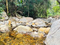 -梧桐山风景名胜区