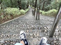 -神光山国家森林公园