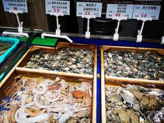 水产区-船歌·鱼水饺青岛菜(金狮广场店)