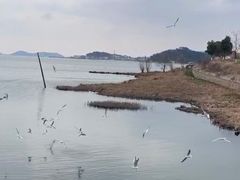 -湖鲜楼