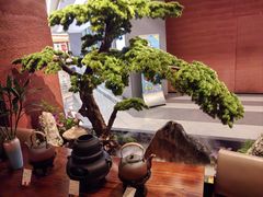 -许爷家·生态湖鲜(徐汇日月光店)