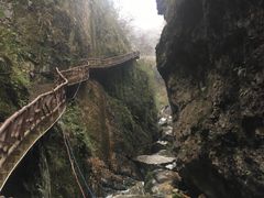 -鹿院坪生态旅游景区