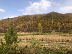 -朝天门火锅(围场店)