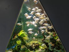 -嘉兴海底世界