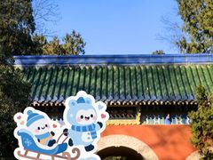 -灵谷景区