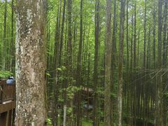 -山王坪喀斯特国家生态公园