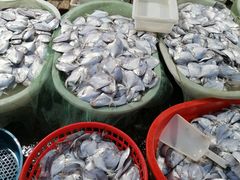 -芦潮港集贸市场