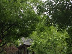 -佛慧山