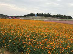 -酒仙湖景区