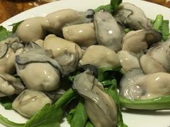 -金砂阿洲鱼册店