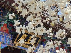 -护国法轮寺