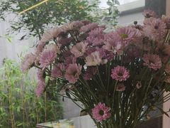 -后海16号·北京私房菜