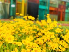 -白塘生态植物园