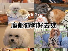 -瑞虹新天地月亮湾