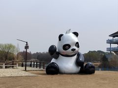 -苏州太湖国家湿地公园