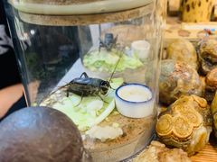 -Rabbit Cafe私房西餐甜点咖啡(栖霞路店)