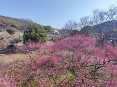 -无锡梅园公园