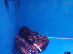 -满堂·烤鸭店·北京菜(鼓楼店)