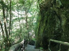 -石台牯牛降景区