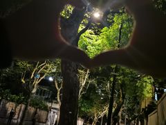 -花马天堂云南餐厅 Lost Heaven(高邮路店)