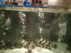 -珍宝轩海鲜火锅(碧湖大厦店)