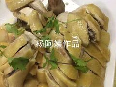 -大班家政月嫂育儿嫂(深圳NO.1店)