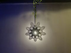 景观位-质烤烤物·活烤海鲜(质烤总店)