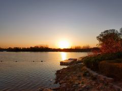 -大兴滨河森林公园