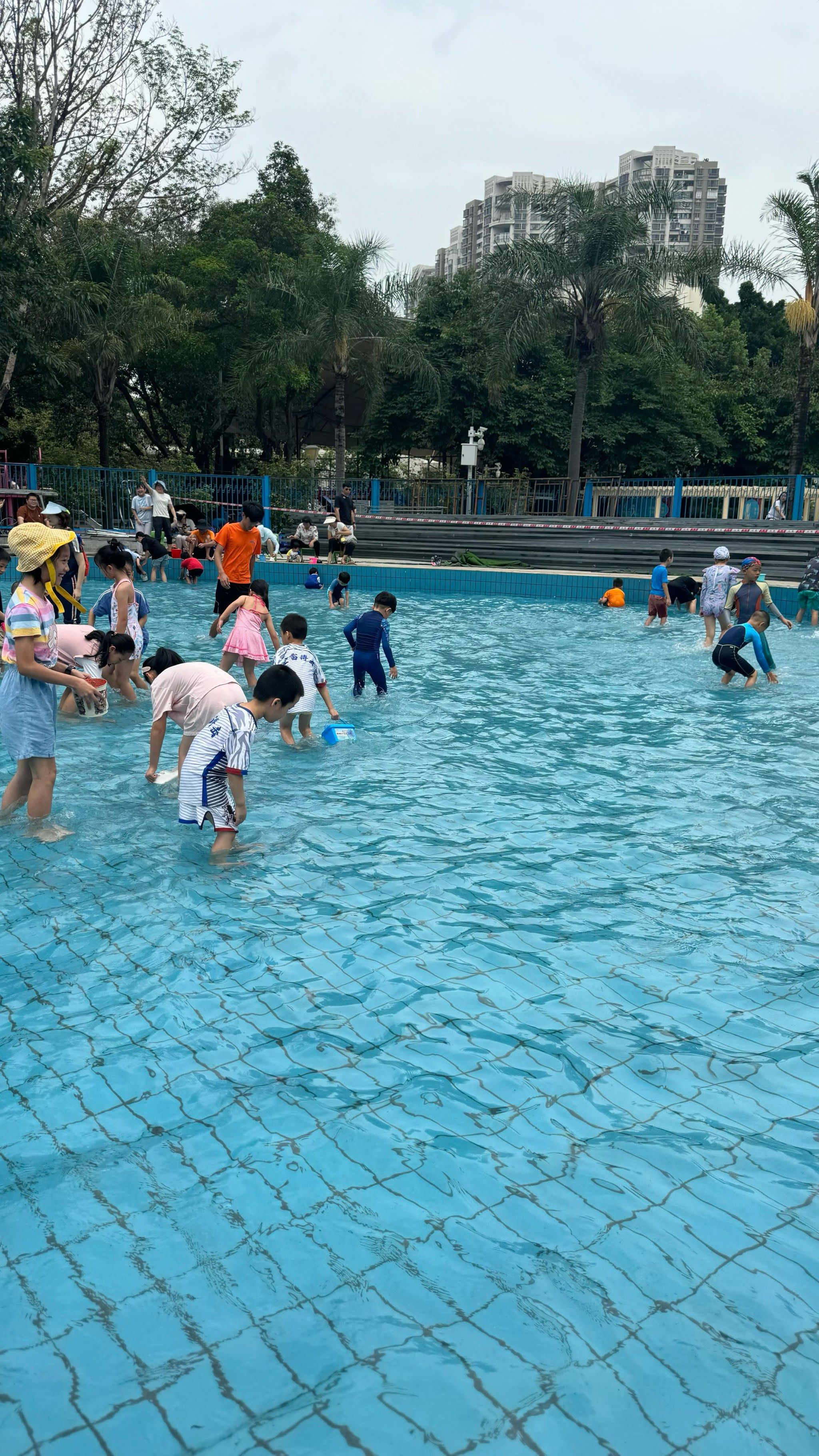 园岭泳馆可以免费抓泥鳅啦