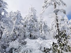 -瓦屋山景区