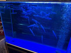 -翠府(翠湖北路店)