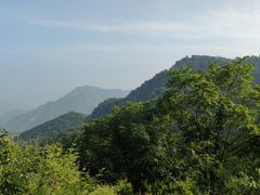 -大岭沟猕猴桃谷风景区