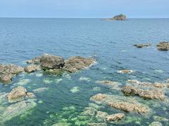 -养马岛旅游度假区