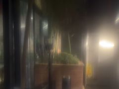 -陈熹公民族美食文化餐厅(中华广场店)