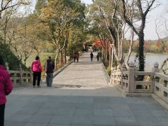 -长广溪湿地公园