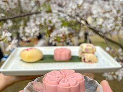 -珈境湖畔餐厅·湖北菜·江浙菜•樱花季(西北湖店)