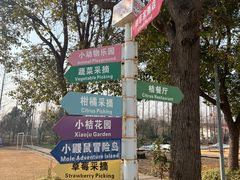 -前小桔亲子创意农场·草莓采摘·露营烧烤