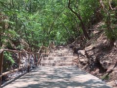 -北京上方山国家森林公园