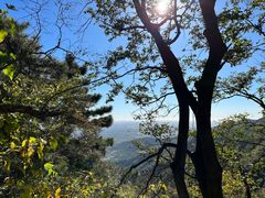 -香山公园