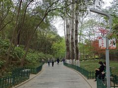 -西安市长乐公园