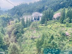 -天柱山风景区