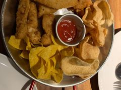 -百好乐宠物友好餐厅(朝外大街店)