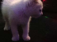 -星宿秘码(鼓浪屿老店)