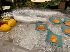 -北京希尔顿逸林酒店-逸轩西餐厅-自助餐厅