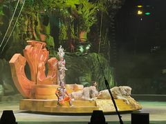 -广州长隆国际大马戏