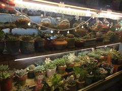 -Santoor 萨都里印度餐厅(北锣鼓巷店)
