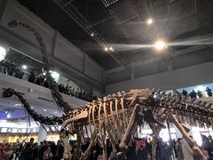 -自贡恐龙博物馆