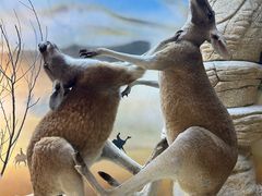 -西霞口神雕山野生动物世界