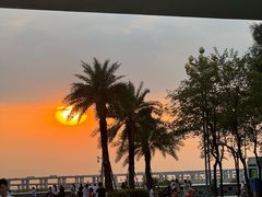 -宝安西湾红树林湿地公园