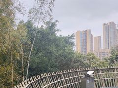 -福道